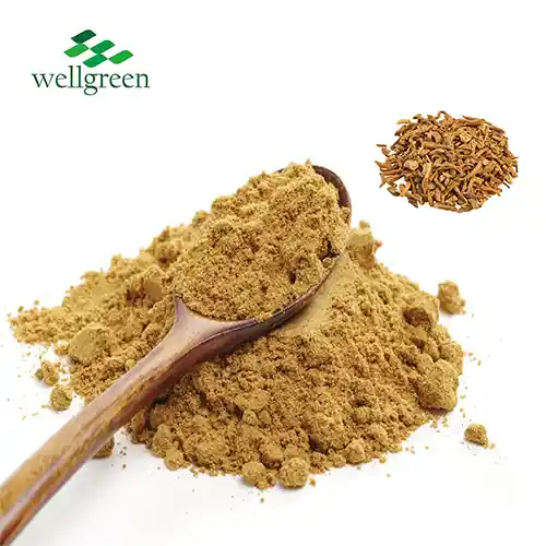 Gentiana Extract